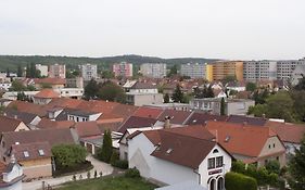 Hotel Terek